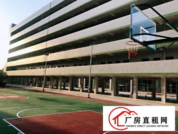 桥头新出3800平原房东，独门独院标准厂房，空地大，电可过户