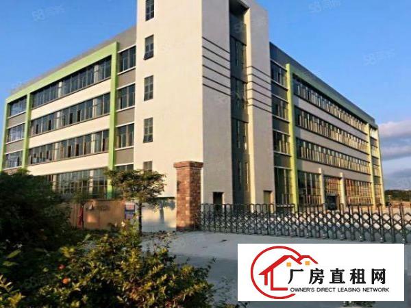  桥头新出3800平原房东，独门独院标准厂房，空地大，电可过户