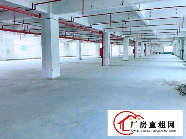  桥头新出3800平原房东，独门独院标准厂房，空地大，电可过户