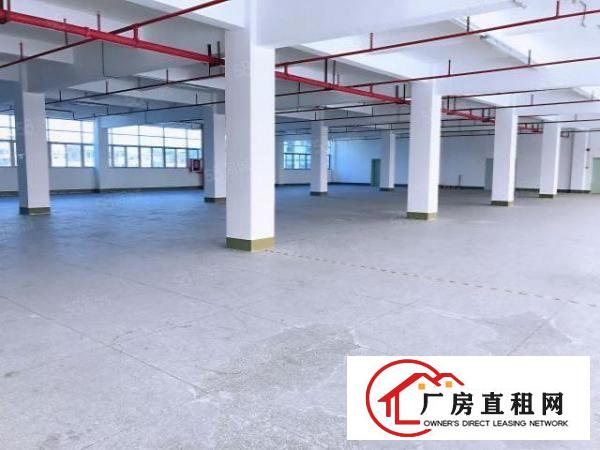  桥头新出3800平原房东，独门独院标准厂房，空地大，电可过户