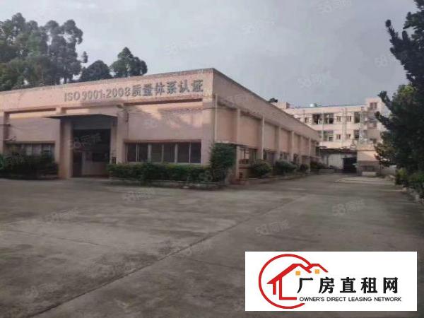 桥头镇新出原房东单一层钢构厂房484平方，带有现成精装办公室