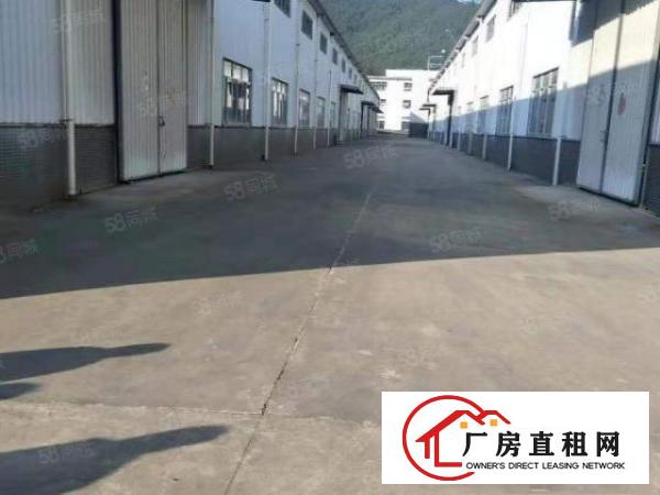  可分租，可整租！原房东厂房，砖墙到顶单一层8米