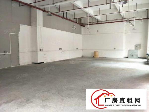  桥头镇新出标准厂房一楼250平方，带有现成精装豪华办公室