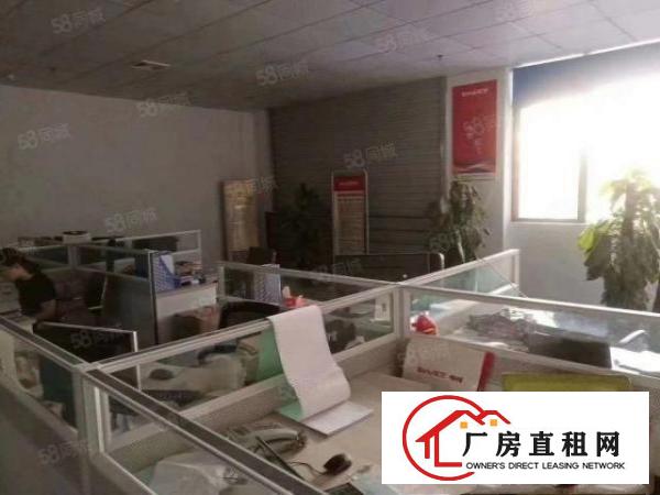  桥头镇新出标准厂房一楼250平方，带有现成精装豪华办公室