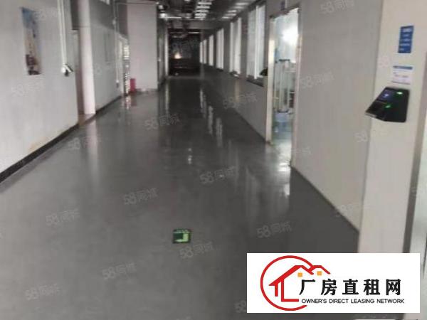  厂房出租，全新装修，形象好，空地大，水电到位！白菜价