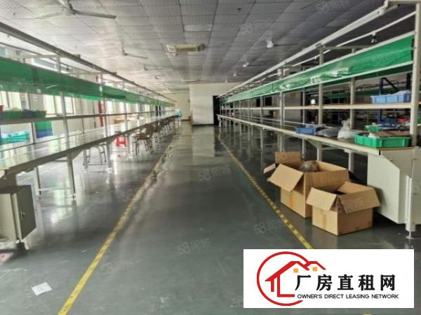  东莞桥头镇大洲大型工业园出租2楼1500平带装修11块可分租
