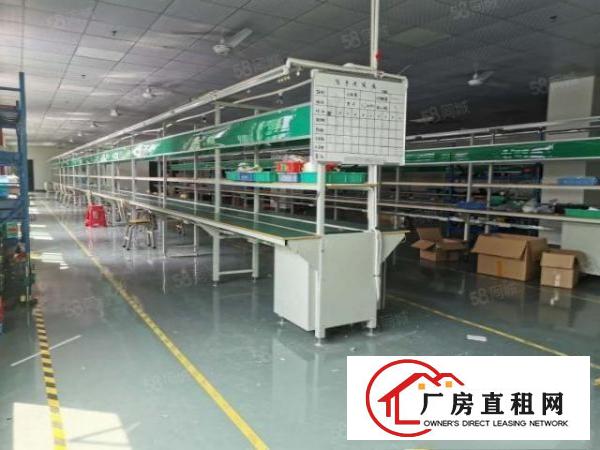  东莞桥头镇大洲大型工业园出租2楼1500平带装修11块可分租