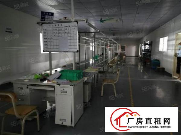 东莞桥头镇大洲大型工业园出租2楼1500平带装修11块可分租