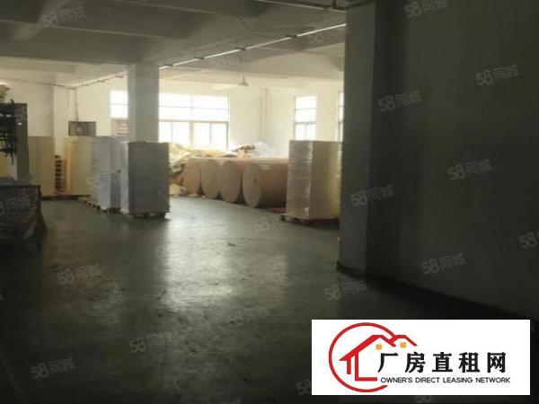  桥头镇新出标准厂房一楼1760平方，带牛角，精装办公室