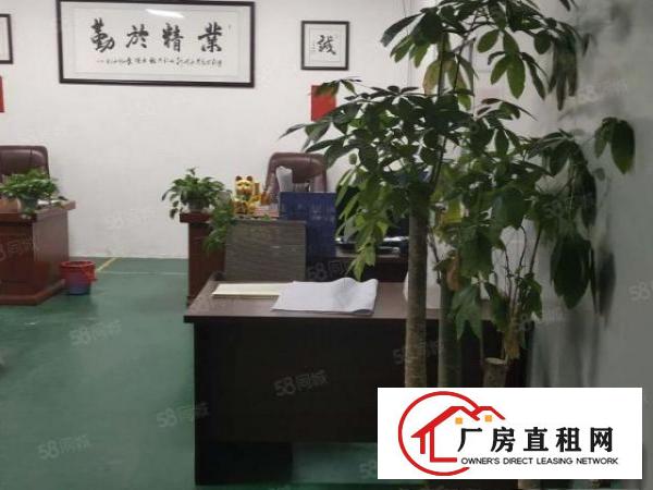  桥头镇新出标准厂房一楼1760平方，带牛角，精装办公室