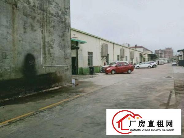  桥头工业园内分租独栋钢构厂房2100平方，价格实惠，水电齐全