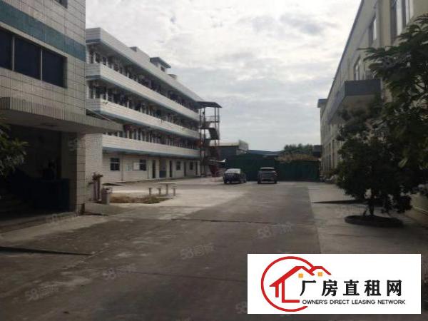  桥头镇高新园区一楼900平方，水电齐全，拎包即可入住！