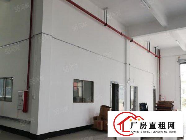  桥头镇独门独院厂房4800平方带现成办公室出租！！！！！！！