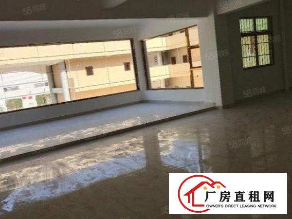  桥头新出村委！带红本！空地超大空地厂房1000平方起出租！