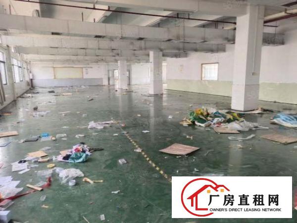  原房东厂房招租.精装办公室.可办环评.空地面积大