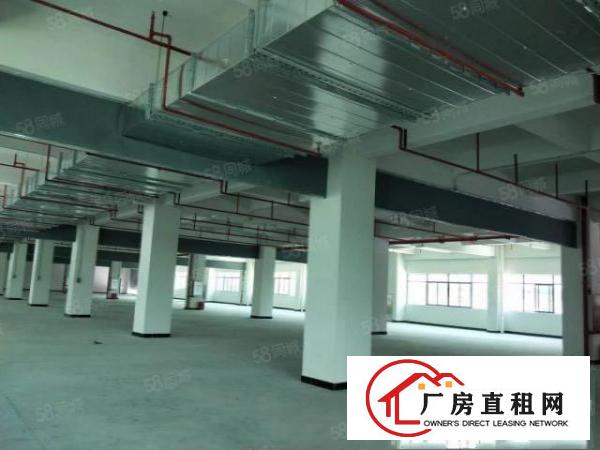  桥头镇原房东新建独门独院标准6层厂房整租可分租，工业用地。