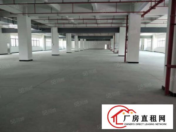  桥头镇原房东新建独门独院标准6层厂房整租可分租，工业用地。