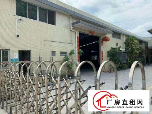  桥头镇原房东！单一层独门独院！厂房出租1600平方，水电齐全