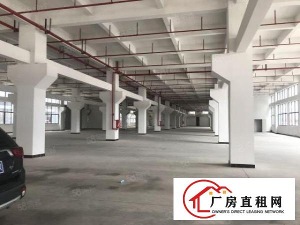  东莞桥头镇工业用地一整层6000平方可分租全新厂房出租