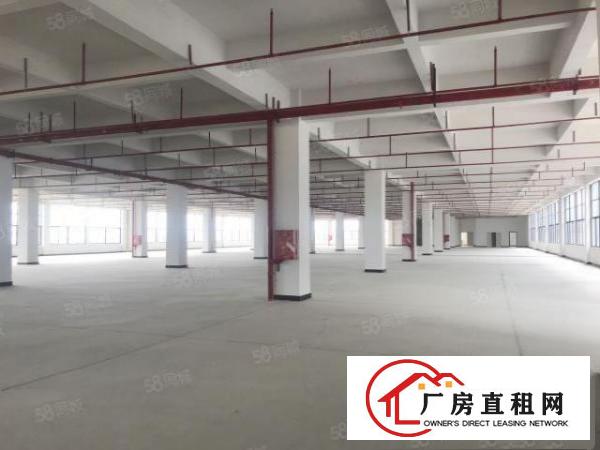  东莞桥头镇工业用地一整层6000平方可分租全新厂房出租