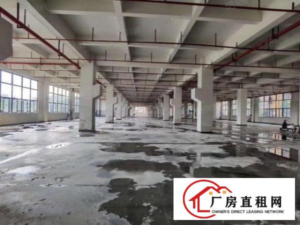 东莞桥头镇工业用地一整层6000平方可分租全新厂房出租