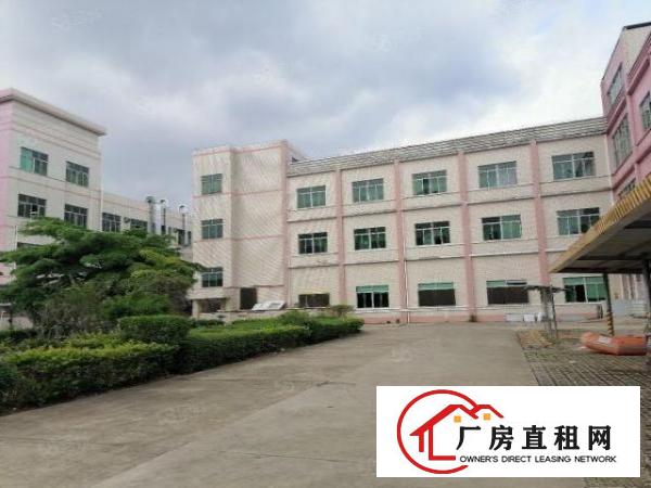  桥头大洲新出原房东标准独院厂房5500平方带现成装修