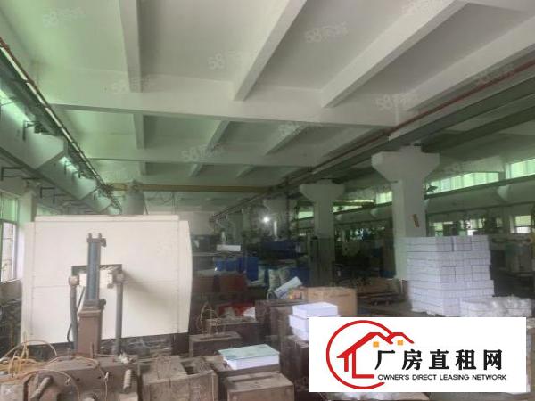  桥头大洲新出原房东标准独院厂房5500平方带现成装修