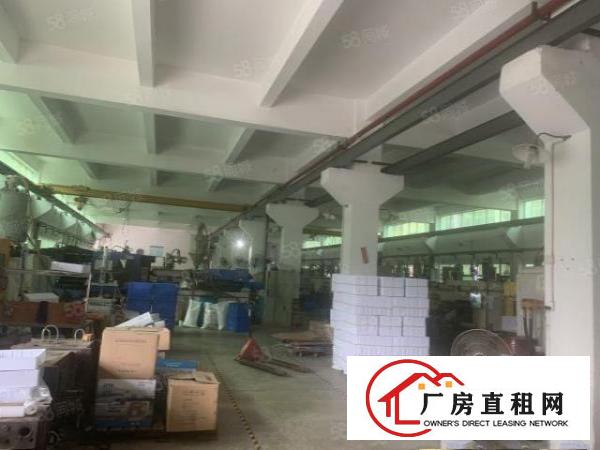  桥头大洲新出原房东标准独院厂房5500平方带现成装修