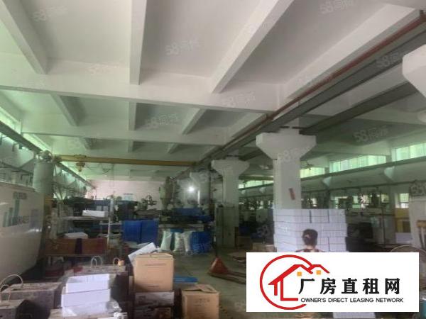  桥头大洲新出原房东标准独院厂房5500平方带现成装修