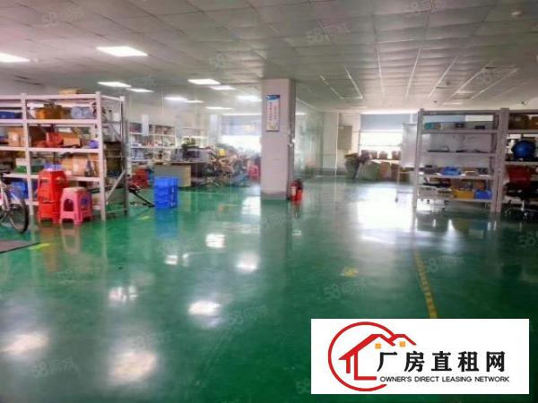  桥头镇中心原房东零公摊三楼整层1200平招租13块