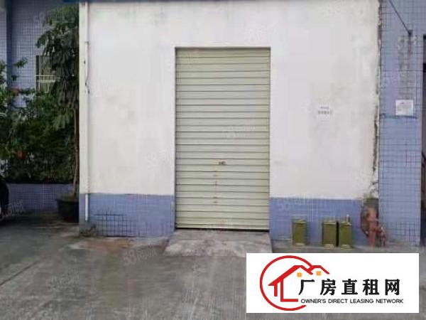  桥头镇新出钢构单一层300平方，滴水8米现成消防喷淋水电齐全