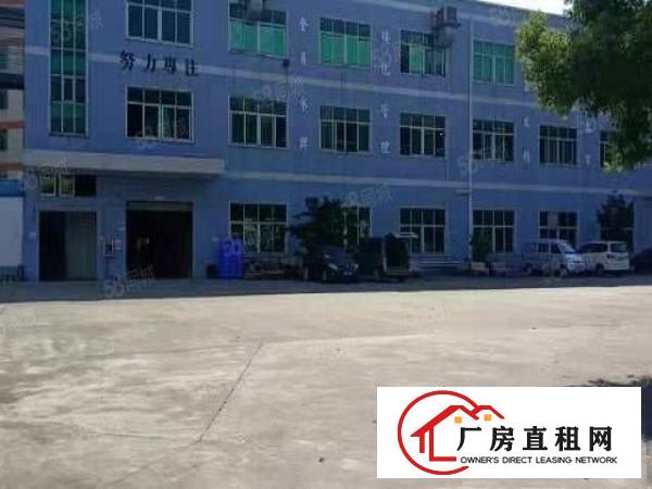  桥头镇新出钢构单一层300平方，滴水8米现成消防喷淋水电齐全