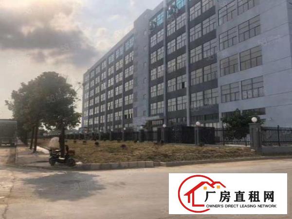 桥头新出原房东精装厂房带地坪漆，可办污染行业带红本