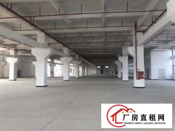  桥头新出原房东精装厂房带地坪漆，可办污染行业带红本