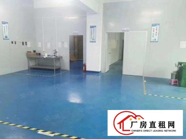  桥头新出500平方厂房，现成装修，价格便宜
