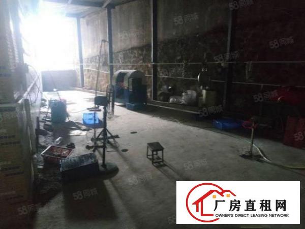  桥头新出带红本！原房东！标准一楼现成装修500平方出租