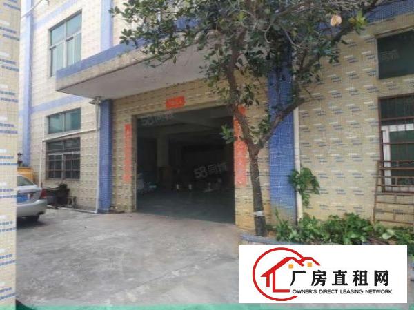  桥头新出带红本！原房东！标准一楼现成装修500平方出租