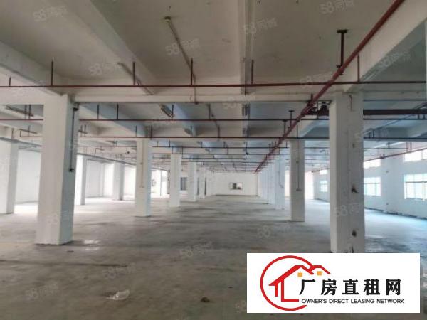  原房东标准厂房一楼分租，高度5.5米带消防喷淋可做任何行业，