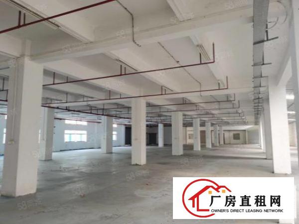  原房东标准厂房一楼分租，高度5.5米带消防喷淋可做任何行业，