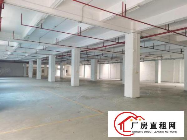  原房东标准厂房一楼分租，高度5.5米带消防喷淋可做任何行业，