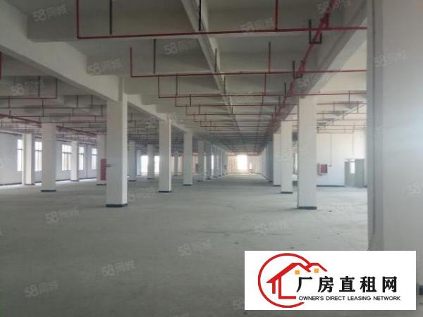  桥头车站新出8000平方空地独院厂房。