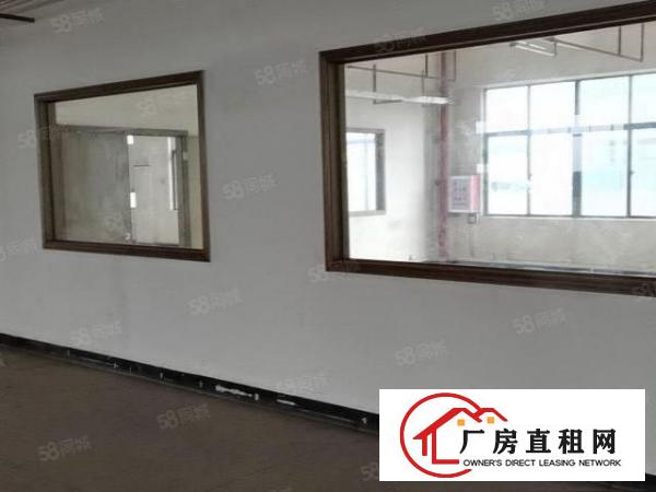  桥头镇新出原房东！滴水9米砖墙到顶厂房出租6500平方