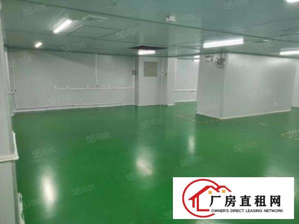  精装修，无尘车间，带空压站，洁净新风设备，现房出租，无装让费