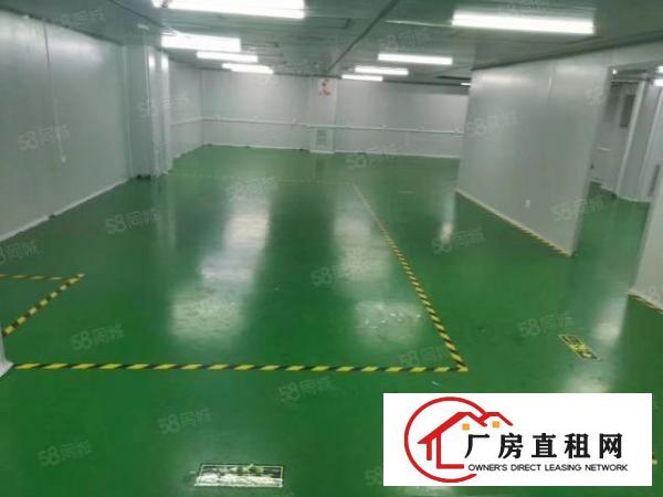  精装修，无尘车间，带空压站，洁净新风设备，现房出租，无装让费