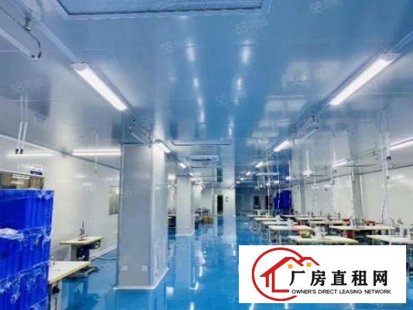  精装修，无尘车间，带空压站，洁净新风设备，现房出租，无装让费