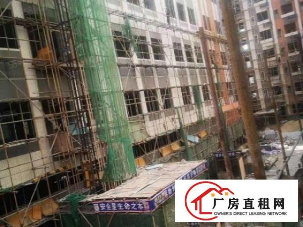  桥头新出原房东独门独院带红本工业用地标准全新厂房