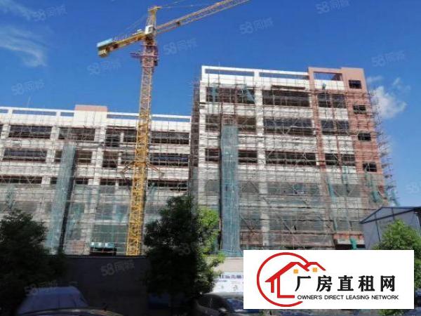  桥头新出原房东独门独院带红本工业用地标准全新厂房