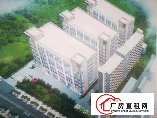  桥头新出原房东独门独院带红本工业用地标准全新厂房