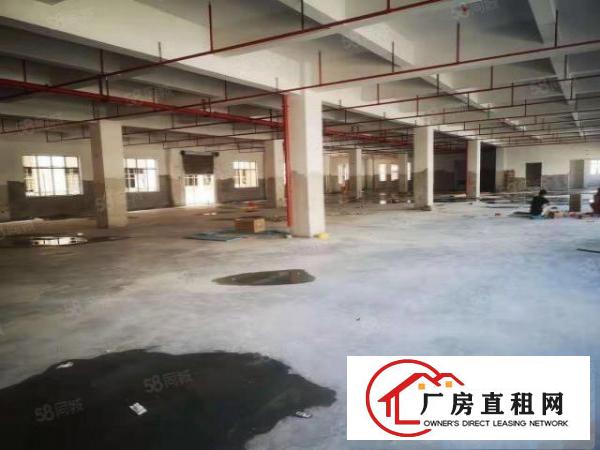  桥头新出原房东独门独院带红本工业用地标准全新厂房