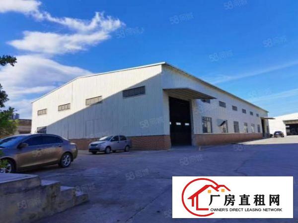  东莞桥头新出原房东独门独院钢构单一层滴水7.5米带消防喷淋